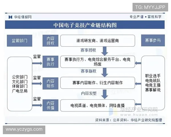 电子竞技行业快速发展与未来趋势分析及其社会文化影响探讨