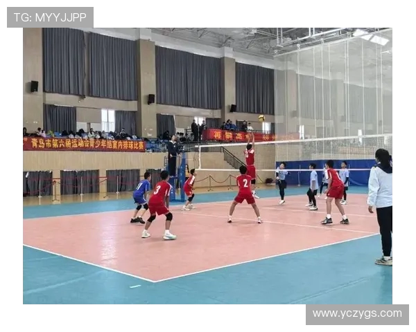 南京排球队的速度之谜：揭秘排球巨献背后的训练与激情